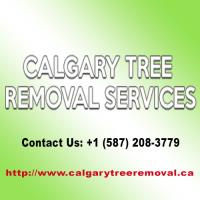 Calgary Tree Removal Services image 1